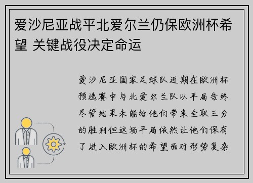 爱沙尼亚战平北爱尔兰仍保欧洲杯希望 关键战役决定命运